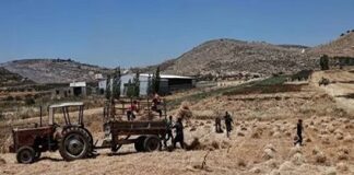 দখল করে নেয়া পশ্চিম তীরে আরও ইহুদি বসতির অনুমোদন