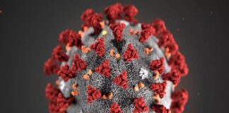 করোনা সংক্রমণ প্রতিরোধে স্বাস্থ্য অধিদপ্তরের ১১ নির্দেশনা