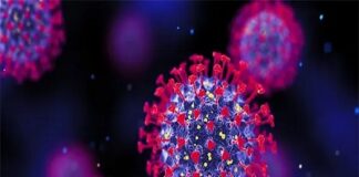 ভারতে করোনা সংক্রমণ ৬ হাজার ছাড়িয়েছে, পশ্চিমবঙ্গে আক্রান্ত ৭৪৭