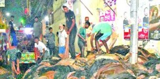 চামড়ার বাজারে ধস