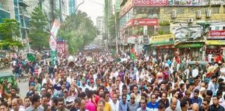 সারা দেশে মবক্রেসির রাজত্ব চলছে : যুবদলের বিক্ষোভে সালাহউদ্দিন
