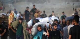 মানবিক সহায়তা নিতে গিয়ে লাশ হয়ে ফিরেছেন ৬১৩ ফিলিস্তিনি