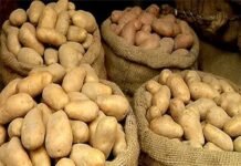 আলুর সর্বনিম্ন দাম বেঁধে দিলো সরকার