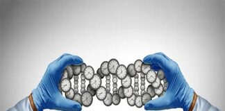 অকাল বার্ধক্যের জন্য দায়ী ৪০০ জিনের হদিস পেলেন বিজ্ঞানীরা