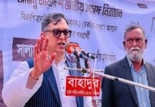 উন্নয়ন, অগ্রগতি ও গণতন্ত্রের বিকল্প নাম বিএনপি: সালাহউদ্দিন আহমদ