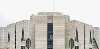 নির্বাচন থেকে সরে দাঁড়ালেন ঢাকা-১৩ আসনের প্রার্থী শাহরিয়ার