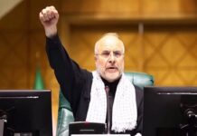 ইরানের স্পিকার মোহাম্মদ বাকের বলেছেন যুদ্ধবিরতি চায় না ইরান