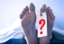 ঢাকায় এক রাতে ঝরে গেল ৫ প্রাণ