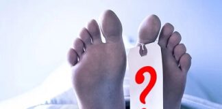 ঢাকায় এক রাতে ঝরে গেল ৫ প্রাণ