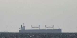 হরমুজ প্রণালি পারাপারের অপেক্ষায় হাজারো জাহাজ