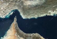 হরমুজ প্রণালিতে ট্রাম্পের সহায়তার আহ্বান সরাসরি প্রত্যাখ্যান করল জার্মানি