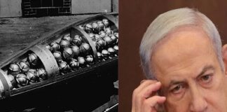 ইরানের ‘৮০ মাথার’ (ক্লাস্টার মিউনিশন)ক্ষেপণাস্ত্র নিয়ে মহা আতঙ্কে ইসরায়েল