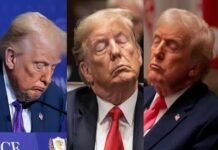 ‘কমান্ডার-ইন-স্লিপ’