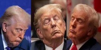 ‘কমান্ডার-ইন-স্লিপ’